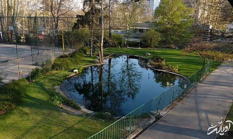 مدرسه نیکان